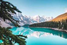 茶文化对旅游经济的带动价值探析-学术期刊期刊服务