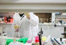 早产儿临床护理研究-学术期刊期刊服务