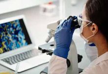 生物化学和生物技术实验教学改革-学术期刊期刊服务