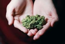 浅谈儿童文学素养的培养-学术期刊期刊服务