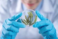 汽车工业机电一体化研究-学术期刊期刊服务