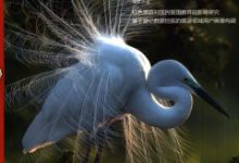 旅游管理毕业论文-学术期刊期刊服务