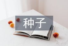 中小型种子企业财务风险管理探析-学术期刊期刊服务