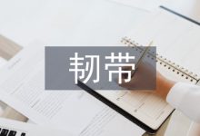 自体半腱肌混编 LAＲS 人工韧带治疗分析-学术期刊期刊服务
