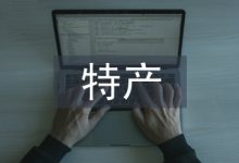 电子商务特产销售系统技术分析-学术期刊期刊服务
