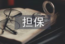 再担保业务风险管理探析-学术期刊期刊服务