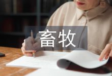 畜牧论文-学术期刊期刊服务