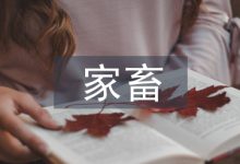 家畜论文-学术期刊期刊服务