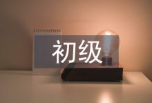 初级会计论文-学术期刊期刊服务