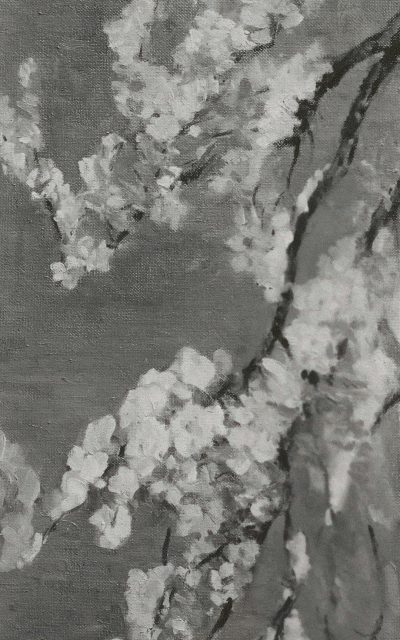 A closeup of delicate cherry blossoms in grayscale, focusing on their intricate details and soft texture, set against an impressionistic background that suggests springtime in Japan. The painting style is in the style of traditional Japanese sumie paintings, with a palette emphasizing shades of gray to capture both lightness and depth. This artwork embodies simplicity and elegance, capturing the essence of natural beauty through subtle color gradients.