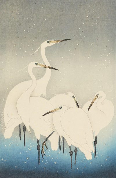 A group of white herons stand in the snow, their heads tilted up towards the sky. The background is a gradient from light blue to gray with small dots that resemble falling snowflakes, giving it an ethereal and serene feel, in the style of [Katsushika Hokusai](https://goo.gl/search?artist%20Katsushika%20Hokusai).