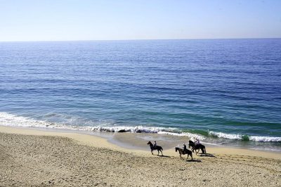 A group of horsebackeo sans riding on the beach in Los Angeles, overlooking calm ocean waters. They should be seen from an overhead perspective, with their horses running along the sand and waves crashing against shore. The sky is clear blue without any clouds, creating a serene atmosphere. This scene captures people enjoying outdoor activities at picturesque beaches in America's west coast region.