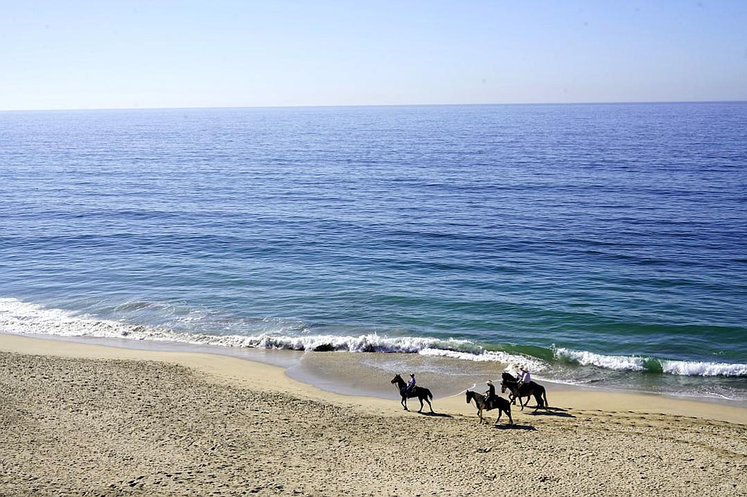A group of horsebackeo sans riding on the beach in Los Angeles, overlooking calm ocean waters. They should be seen from an overhead perspective, with their horses running along the sand and waves crashing against shore. The sky is clear blue without any clouds, creating a serene atmosphere. This scene captures people enjoying outdoor activities at picturesque beaches in America’s west coast region.