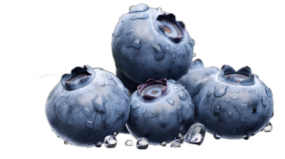 A few blueberries with water droplets on them, on a black background, in the style of food photography, appearing super realistic, highly detailed, with a super wide angle, at high resolution and high definition.