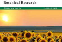 植物学研究（中文国际刊）-学术期刊期刊服务